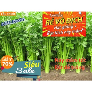 Gói 100 hạt giống cần tây -