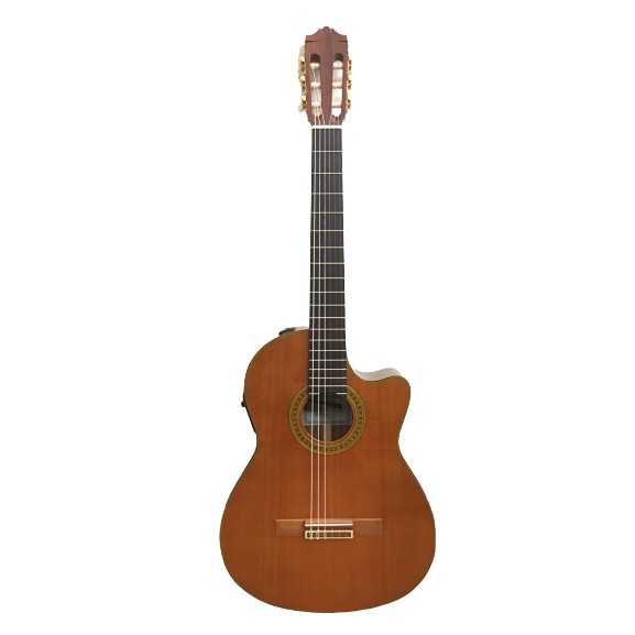 Guitar Classic Yamaha CGX-171CCA