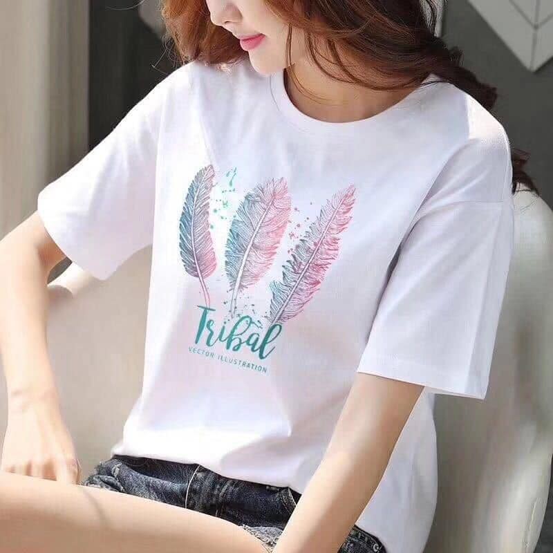 Áo thun nữ Quảng Châu hàng loại 1