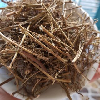 0.5kg diệp hạ châu ( chó đẻ răng cưa)