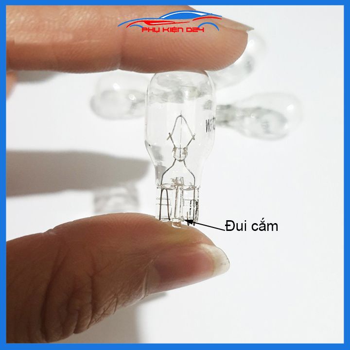 Bóng đèn Halogen T10 điện áp 12V công suất 10W 1 tóc chân cắm