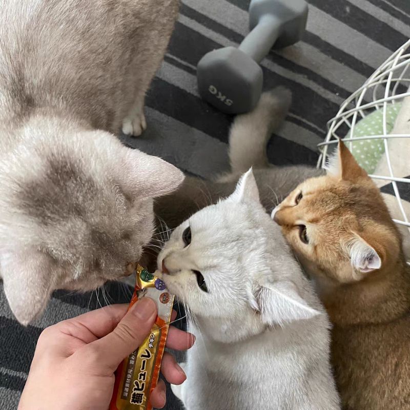 Súp Thưởng Uo Zen Cho Mèo - Gói 5 Thanh