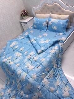 Set ga gối chăn phao polly cotton