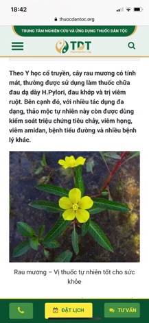 1 kg Rau mương khô nguyên chất
