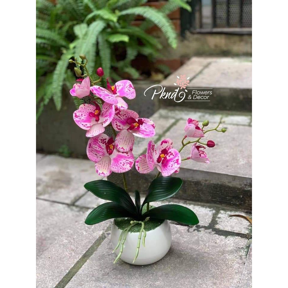 Chậu hoa giả lan cao su hai nhánh trang trí đẹp PKND FLOWERS & DECOR CH68