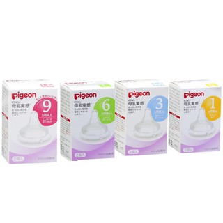 Núm ti Pigeon nội địa Nhật cổ rộng đủ size SS,S,M,L,LL