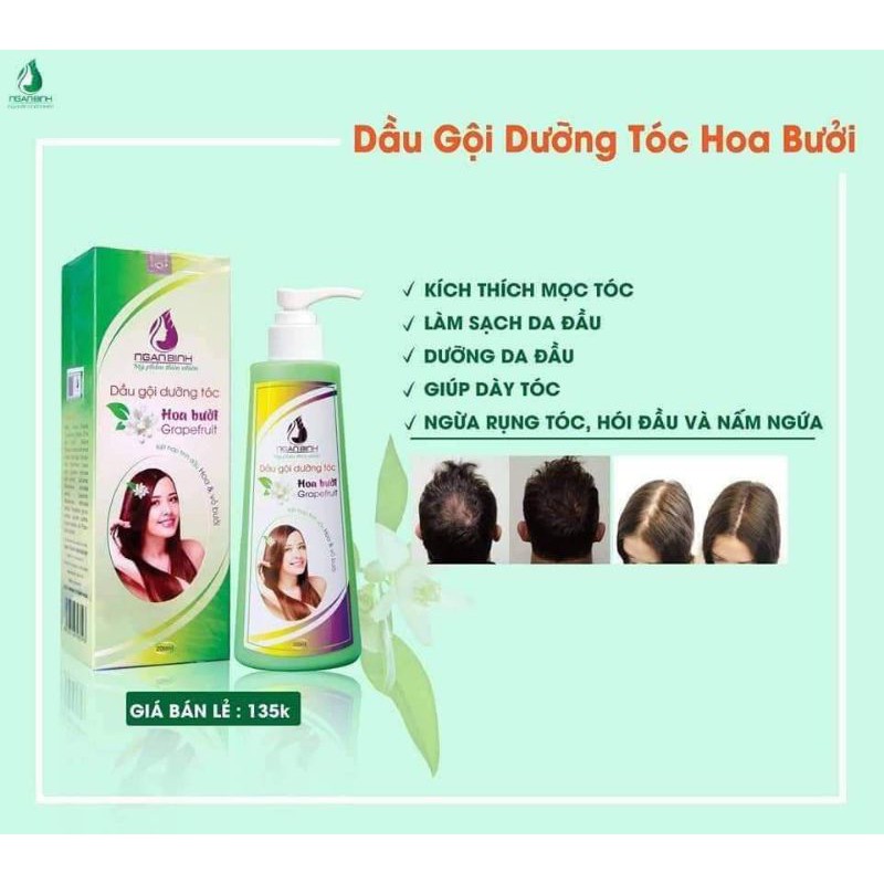 DẦU GỘI BƯỞI & TINH DẦU BƯỞI Ngân Bình ( 2 chai)