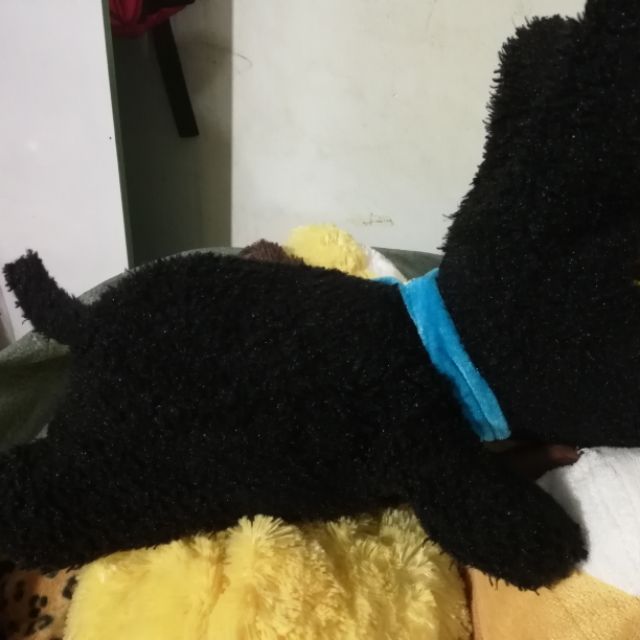 Mèo đen mat́ thủy tinh  mềm mịn miniso
