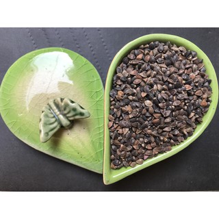 Hạt Ba khía gói 1kg dành cho chim cảnh, gà cảnh, hamster