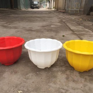 Chậu treo bí 10 cái
