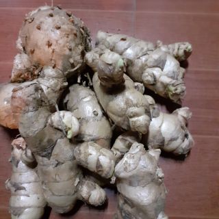 Nghệ trắng rừng,500g