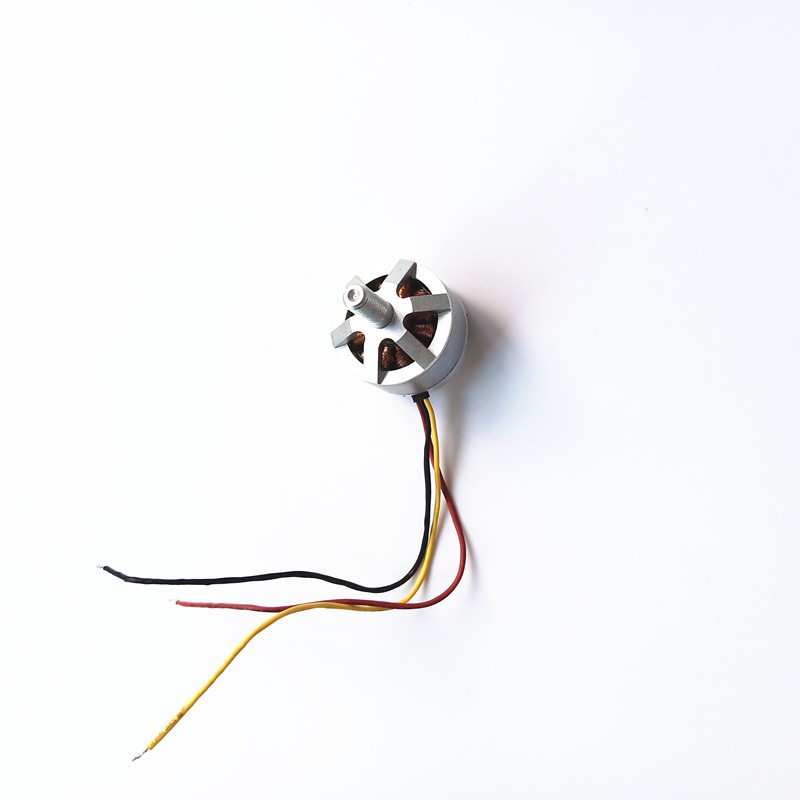 Motor cho Flycam Bugs 5w