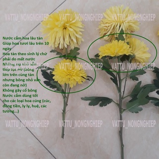 Nước cắm hoa lâu tàn Keep Flowering (1000ml)