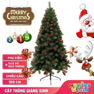 Cây thông giáng sinh 1m8 kèm phụ kiện quả thông và quả mận đỏ trang trí Noel 2020