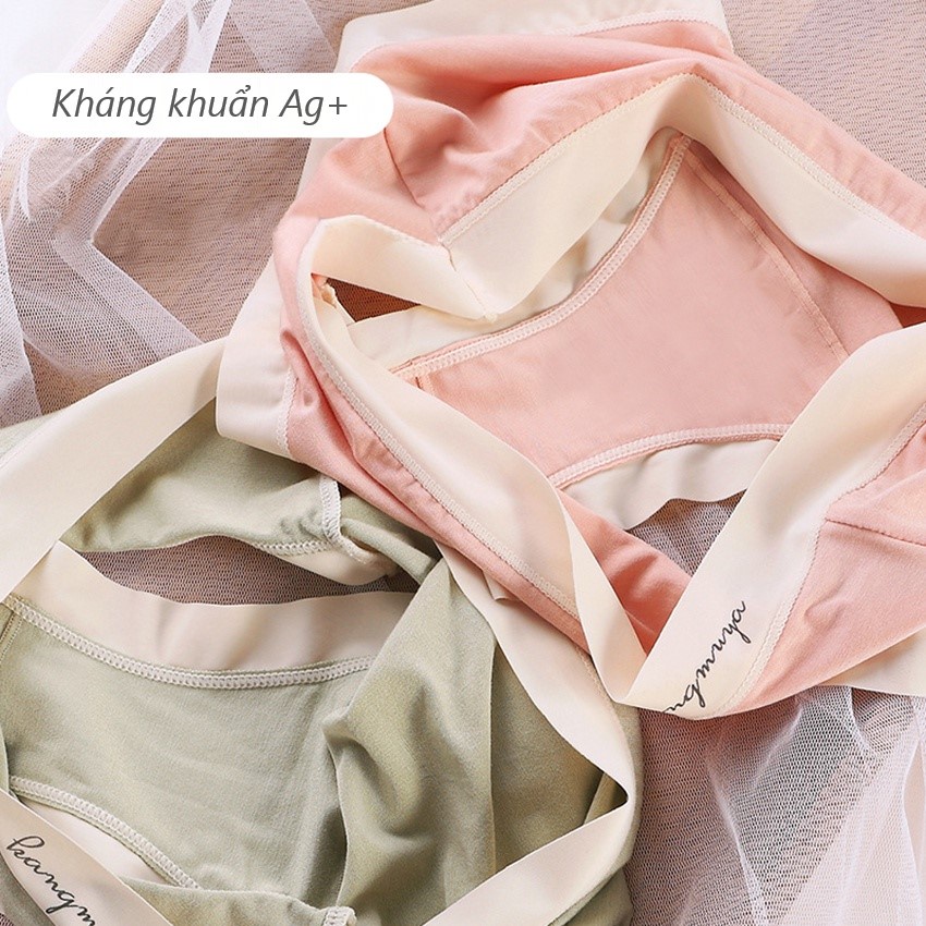 Quần lót nữ cotton Hàn siêu mịn co giãn 4 chiều phối viền su lạnh chống lộ Eavana NLQ151