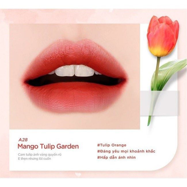 SON Black Rouge A31 giá rẻ Tháng 8,2023|BigGo Việt Nam