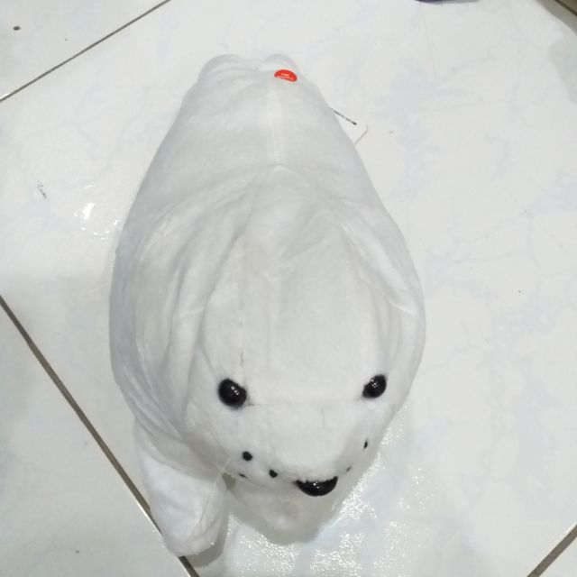 Gấu bông j nguyễn