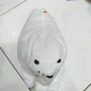 Gấu bông j nguyễn