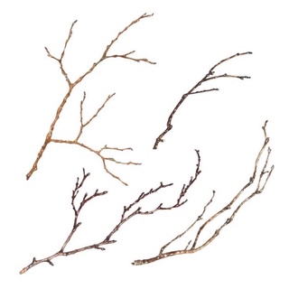 Nhánh cây khô trang trí, decor