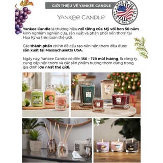 Nến ly mini Yankee Candle (37g) - Bayside Cedar