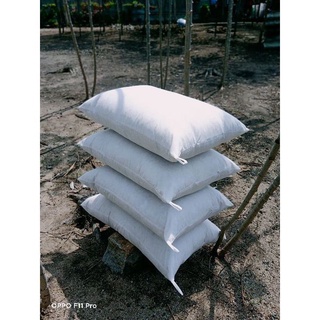 Combo 4 cái ruột gối bông gòn tự nhiên