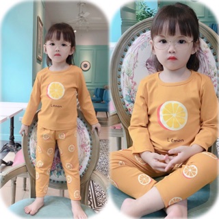Bộ hoa quả thu đông chất thun co dãn
