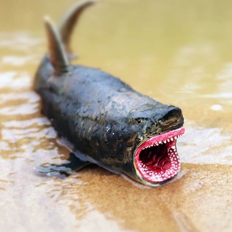 Đồ Chơi Mô Hình Cá Mập megalodon Dễ Thương Giáo Dục Sớm Cho Bé