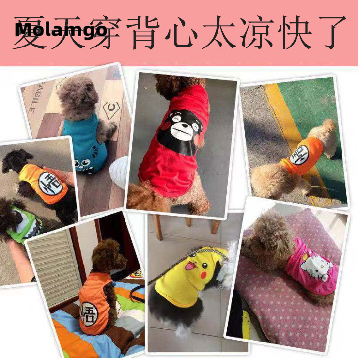 Áo không tay thoáng mát nhiều màu xinh xắn dành cho thú cưng Áo thun mùa hè mềm mại in họa