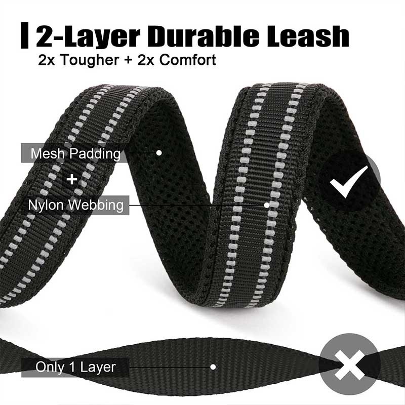 TRUELOVE Dây nylon dài 200cm nhiều màu dẫn cún đi dạo tiện dụng