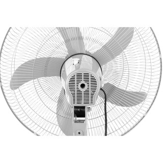 Quạt cây - đứng Asia D18004 - 55W