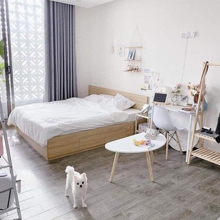 CHÂN GỖ TẦN BÌ TRÒN + ĐẦU BỊT SIZE 50CM