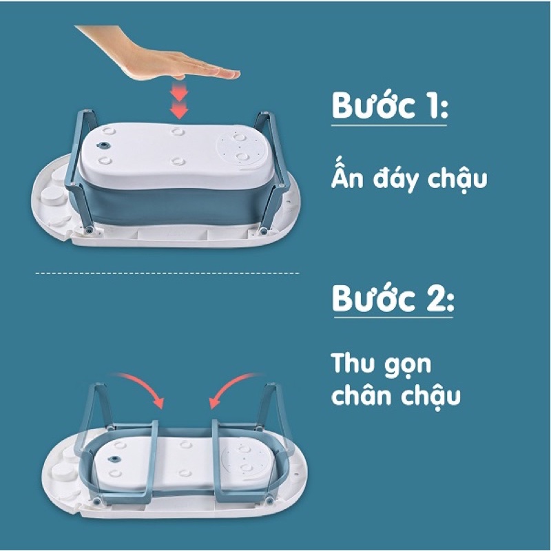 Set chậu tắm gấp gọn kèm phao chống sặc cho bé tặng kèm cá heo đồ chơi