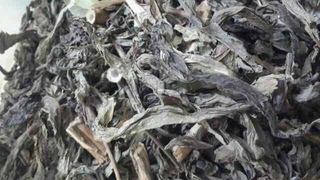 bồ công anh khô 1kg