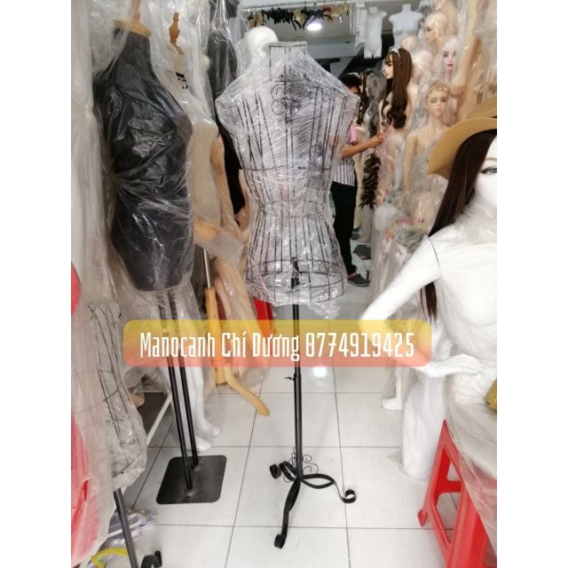 Manocanh sắt