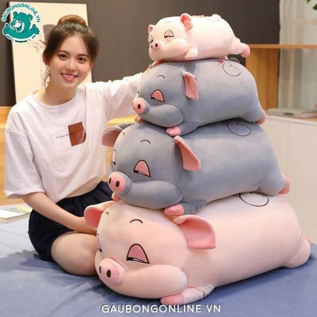 LỢN BÔNG ĐÁNG YÊU