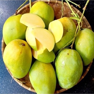 1kg xoài tứ quý 25k