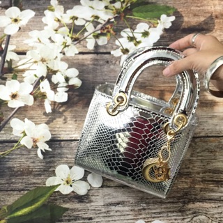 Túi dior bạc