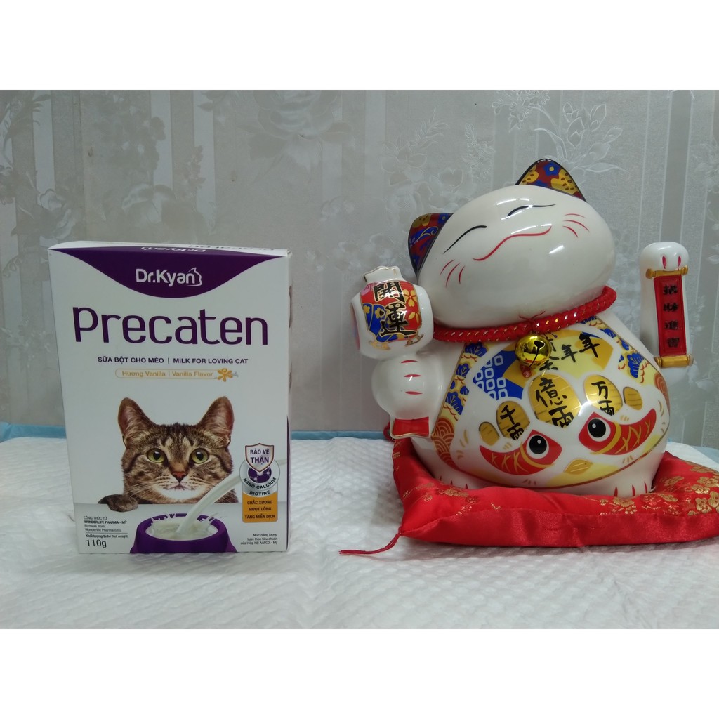 Sữa Bột Cho Mèo Dr.Kyan Precaten 110g