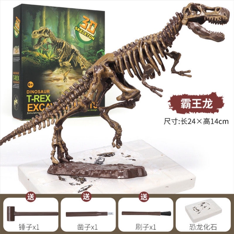 Hóa thạch khủng long trẻ em Mô hình bộ xương Tyrannosaurus rex Sản xuất thủ công DIY của Đồ chơi khai quật khảo cổ học c