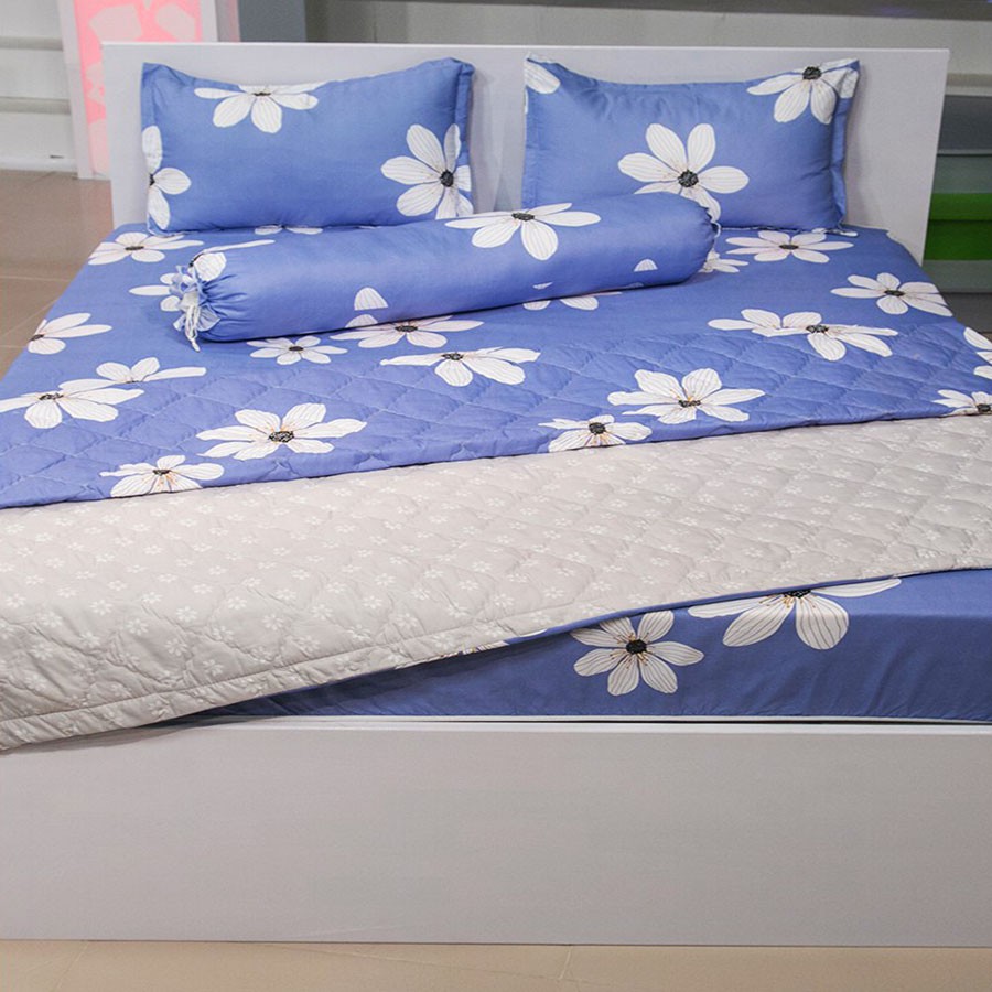 Sét Chăn Ga Gối 5 Món Cotton Poly Emmidecor Mẫu Hoa Bèo