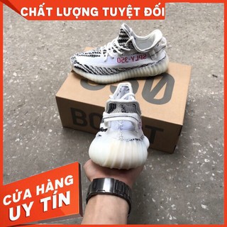 Giày Yz350 Ngựa Vằn