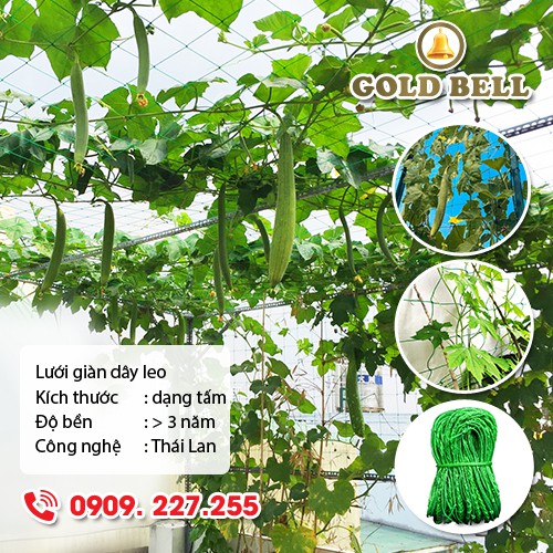 Lưới giàn dây leo - khổ 1mx2m, 1mx3m, 2mx2m, 2mx3m có viền biên