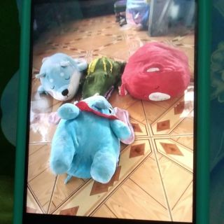 Gấu bông của anh nga dương