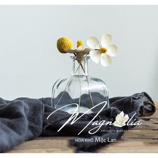 Hoa khô handmade 🍁FREESHIP🍁 Hoa bướm gỗ Butterfly dụng cụ cắm hoa trang trí