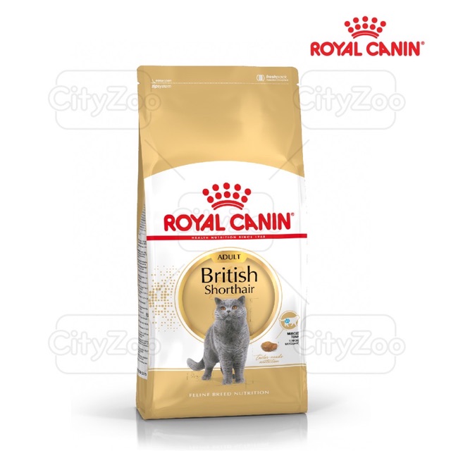 Thức Ăn Hạt Royal CANIN British Shorthair Adult 2Kg Dành Cho Mèo Anh Lông Ngắn Trưởng Thành