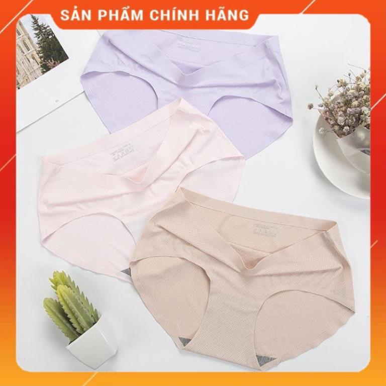 Quần lót đúc su thông hơi 1523 1524