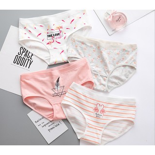 quần lót cotton dễ thương (combo 4 quần giảm giá)