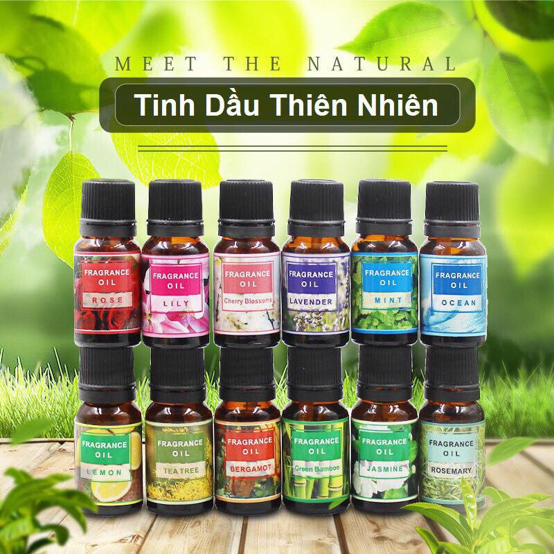 Tinh Dầu Thiên Nhiên Nguyên Chất Lọ 10ML Mùi Thơm Giúp Bạn Thư Giãn Thoải Mái