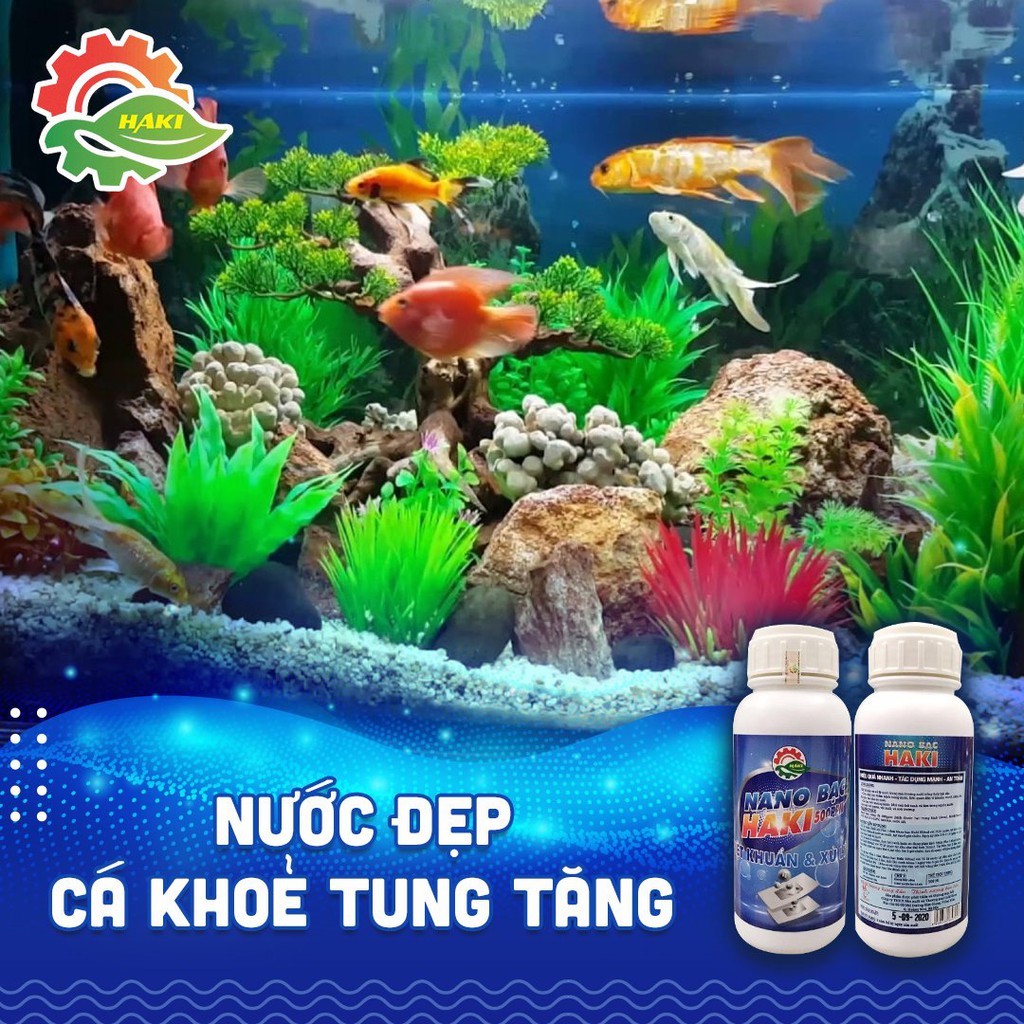 Combo 3 nano bạc Haki chuyên dùng cho thủy sản làm sạch ao nuôi, bể cá và hỗ trợ phòng bệnh cho cá