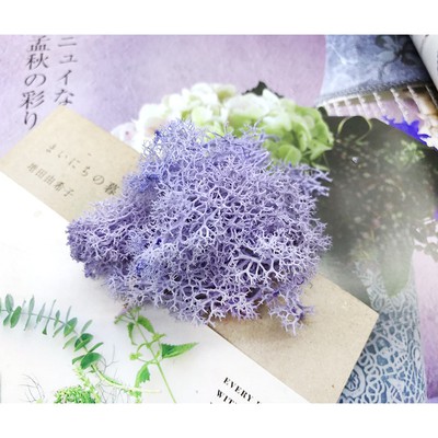 Rêu Các Màu Làm Trang Trí Handmade [MỚI]